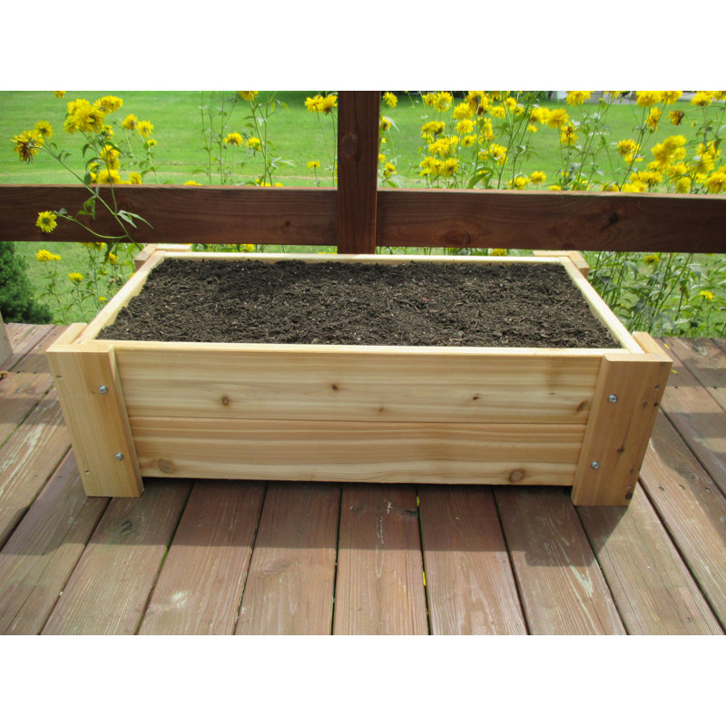 Millwood Pines Helena Premium Quality Rectangular Cedar